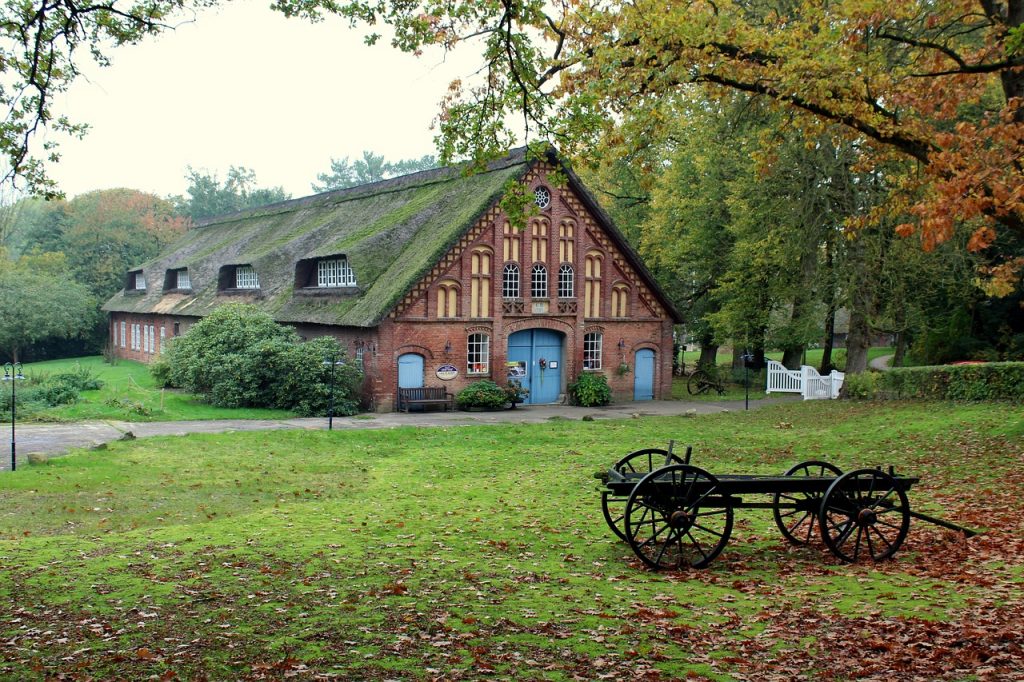 ferme traditionnelle avec toit de chaume entourée d'arbres en automne