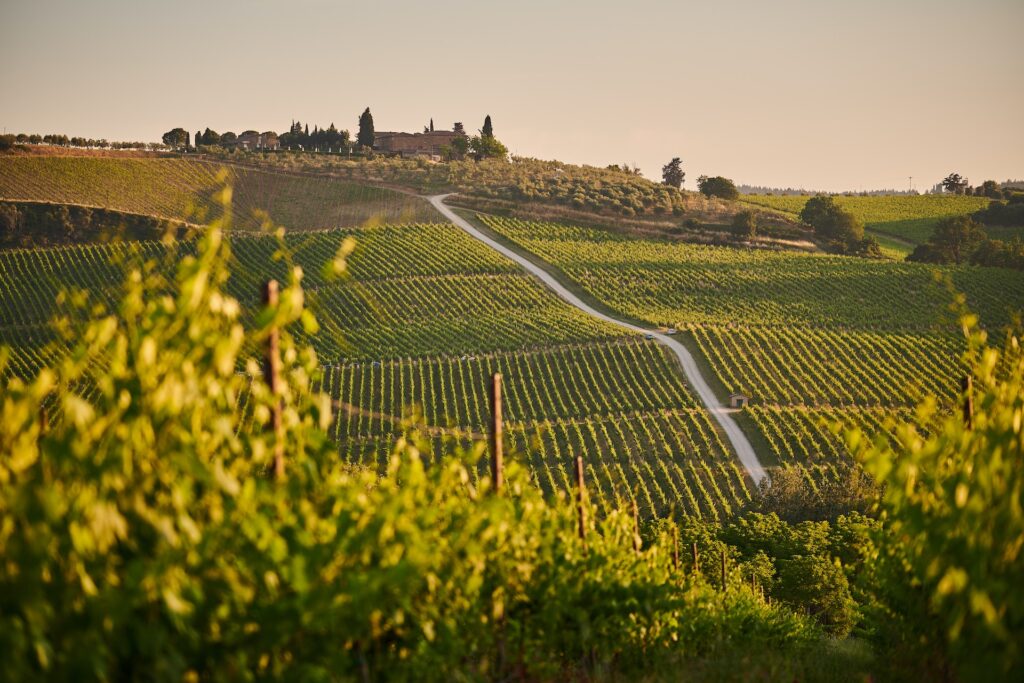 Voyage en Toscane