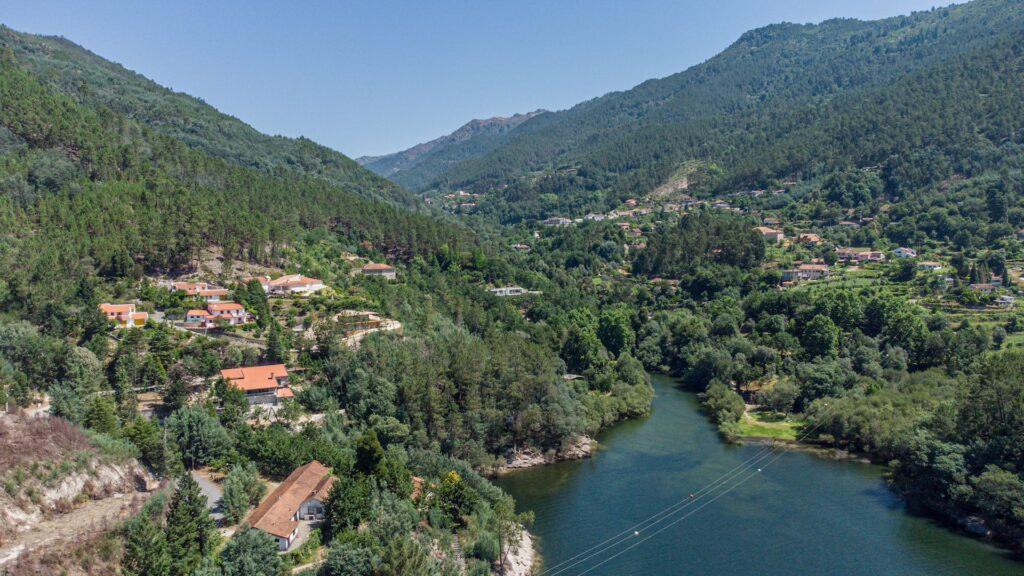 Lac Trisamino