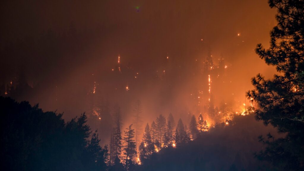 Les incendies en Sicile