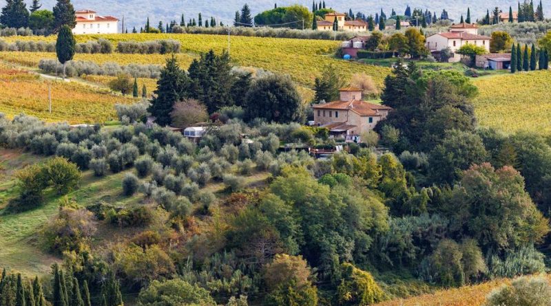 Picturesque landscape of Tuscany featuring olive groves and rolling hills.