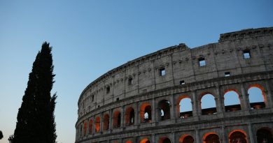 The colosseum illuminated at dusk with a tall tree