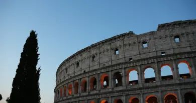 The colosseum illuminated at dusk with a tall tree